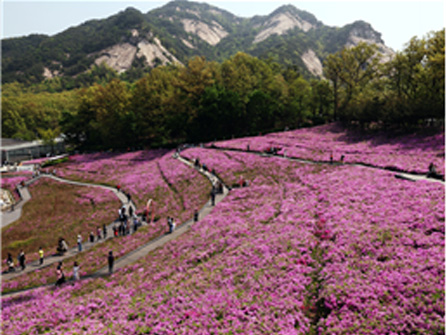 불암산 힐링타운