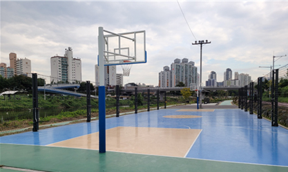 Basketball Court