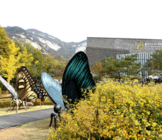 나비정원 이미지