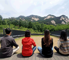 산림치유센터 이미지