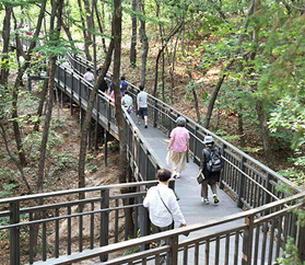순환산책로 이미지