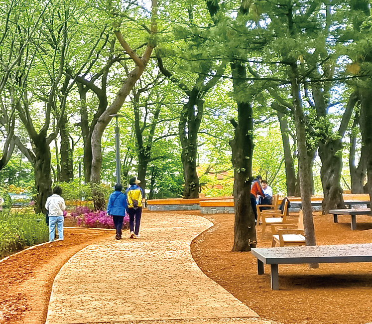 피크닉장 조성 이미지