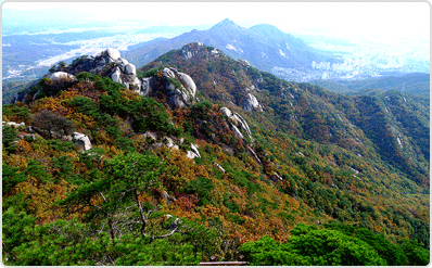 서울의 수호산 수락산의 단풍