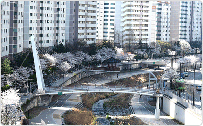 당현천 벚꽃길