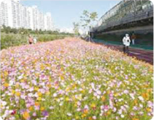 Jungnangcheon Steram - photo3