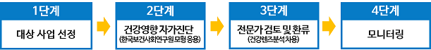 1단계 : 대상사업선정 > 2단계 : 건강 영향 자가 진단(한국보건사회연구원모형 응용) > 3단계 : 전문가 검토 및 환류(건강렌즈분석착용) > 4단계 : 모니터링