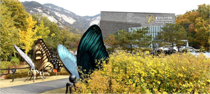 불암산 철쭉제 사진3