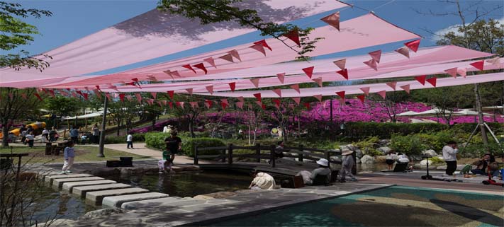 불암산 철쭉제 사진4