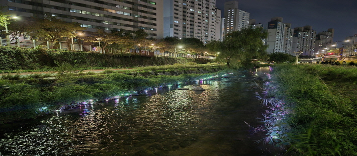 노원달빛산책 사진6