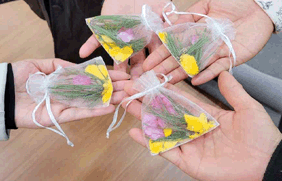 연속형 프로그램 사진