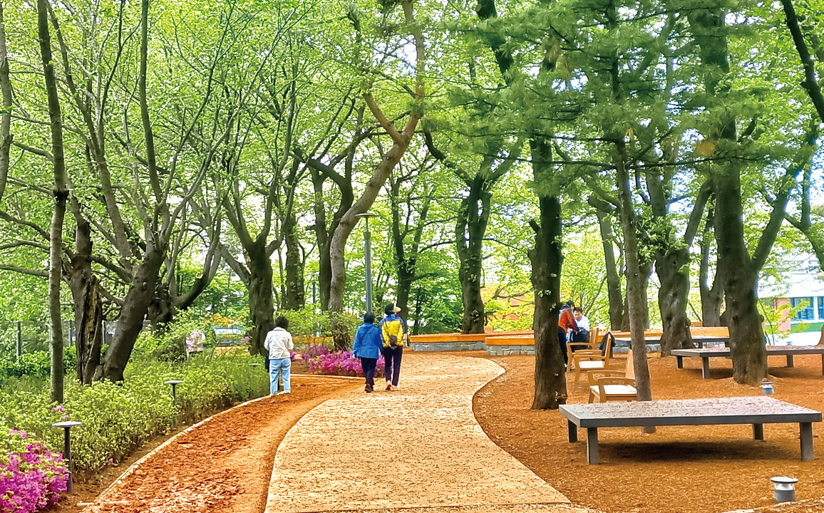 피크닉장 조성 이미지