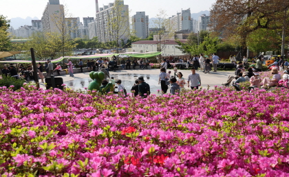 불암산 철쭉제 사진6