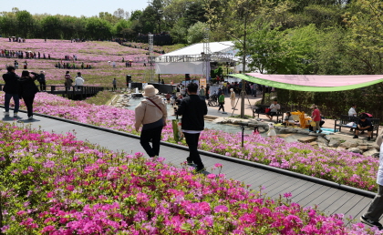 불암산 철쭉제 사진3