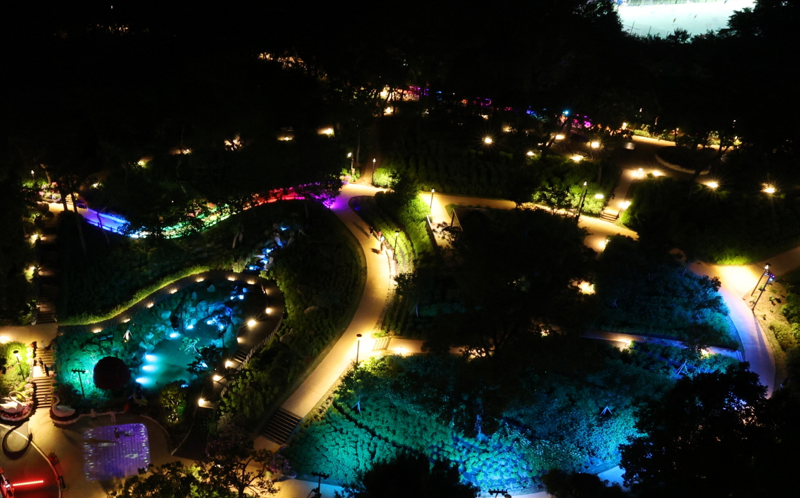 수국정원 야간 이미지