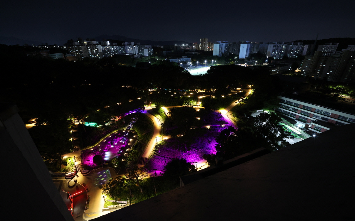 수국정원 야간 이미지