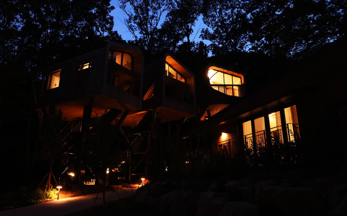 트리하우스 야경