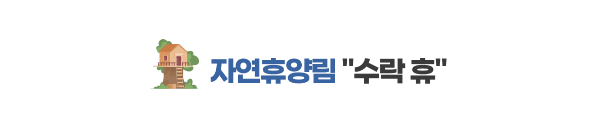 자연휴양림 수락 휴