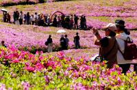 2026 불암산 철쭉제